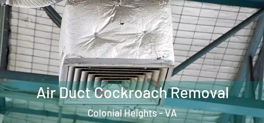  Air Duct Cockroach Removal Colonial Heights - VA