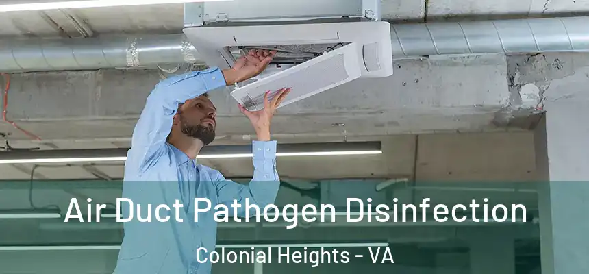 Air Duct Pathogen Disinfection Colonial Heights - VA