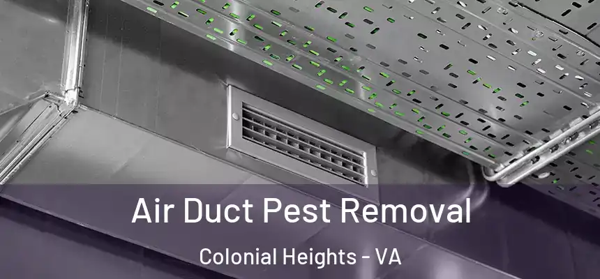  Air Duct Pest Removal Colonial Heights - VA