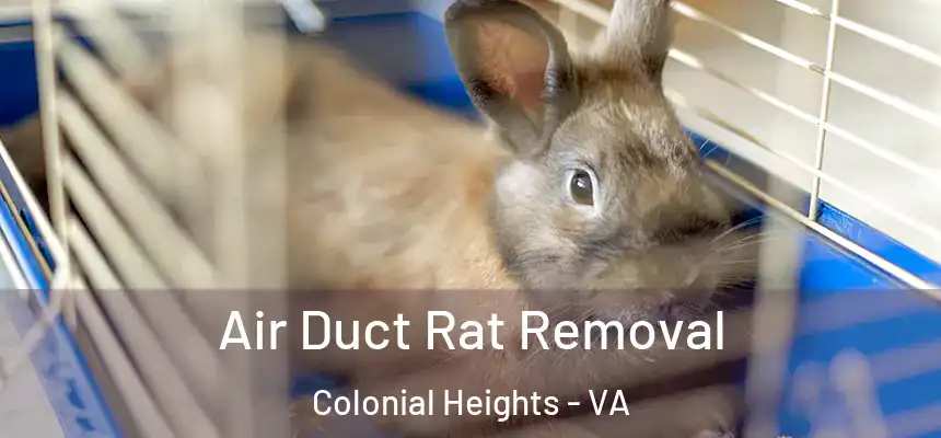Air Duct Rat Removal Colonial Heights - VA