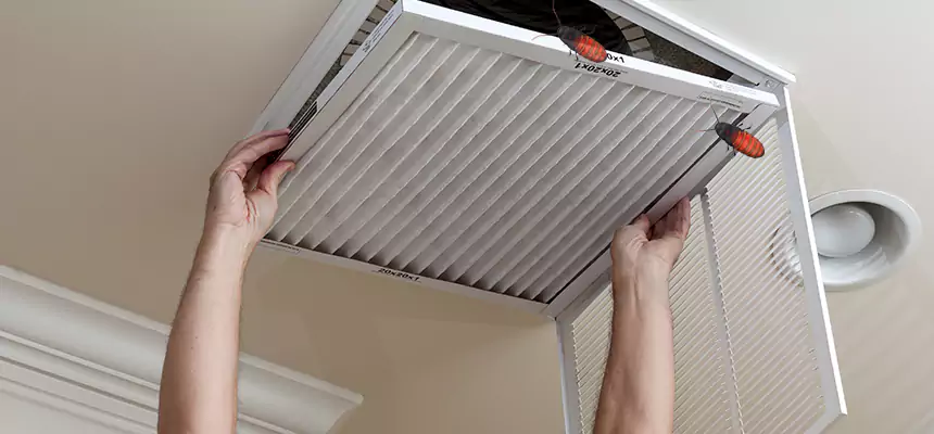 Preventive Cockroach-Proofing for Ducts in Colonial Heights