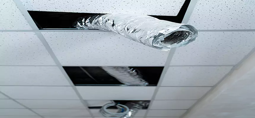 Affordable HVAC Sanitizing After Pest Removal in Colonial Heights