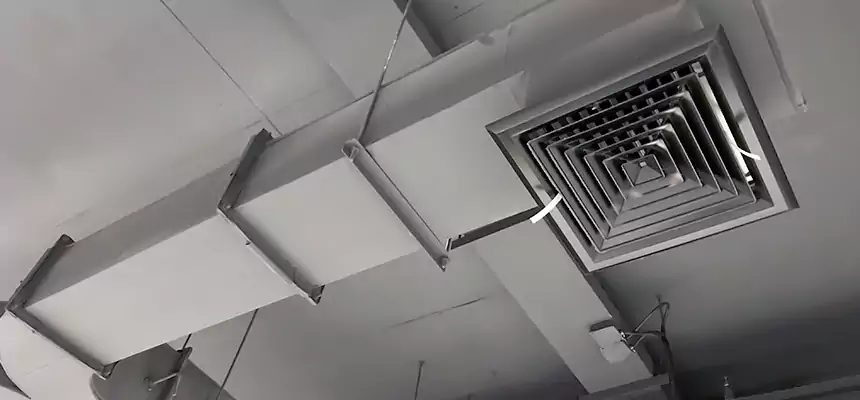 Restorative Allergy Relief Vent Cleaning – Coil, Blower & Housing Detail in Colonial Heights