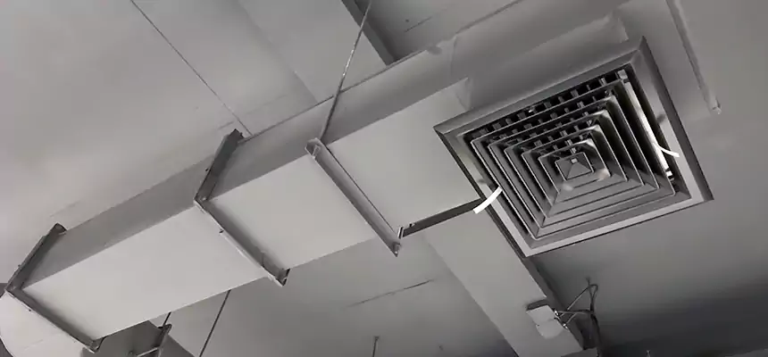 Our Pest Removal From Ducts Services in Colonial Heights, VA