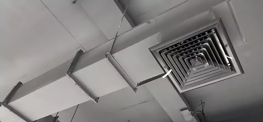 Our Rodent Droppings In Vents Services in Colonial Heights, VA