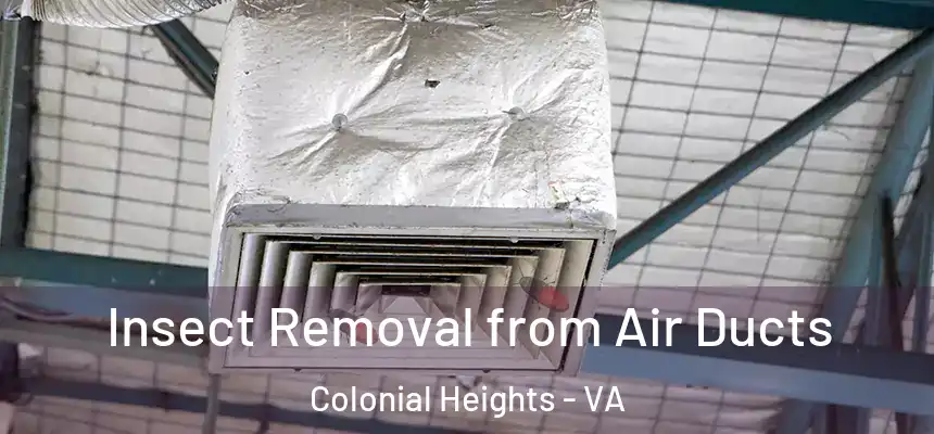 Insect Removal from Air Ducts Colonial Heights - VA