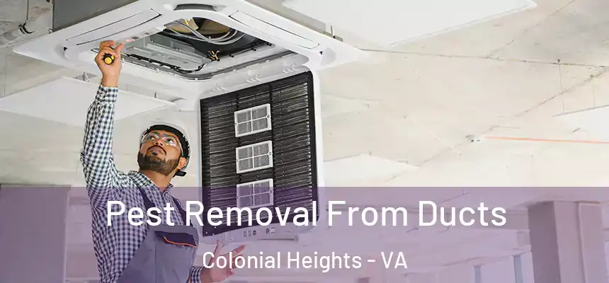  Pest Removal From Ducts Colonial Heights - VA
