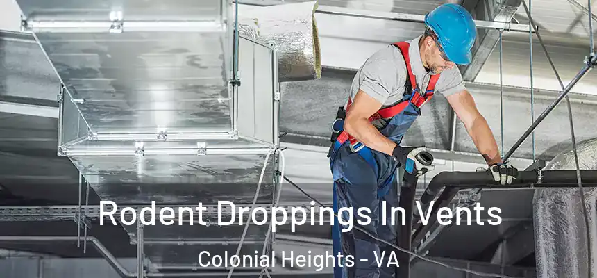 Rodent Droppings In Vents Colonial Heights - VA