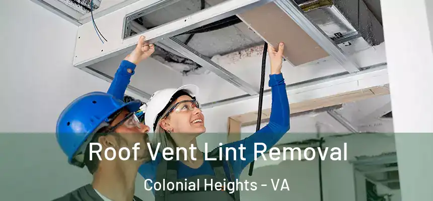 Roof Vent Lint Removal Colonial Heights - VA
