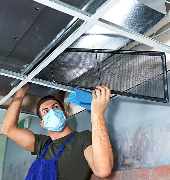 About Air Duct Bacteria Removal in Colonial Heights