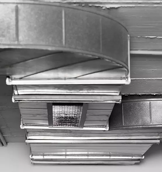 Professional Air Duct Pest Removal in Colonial Heights, VA