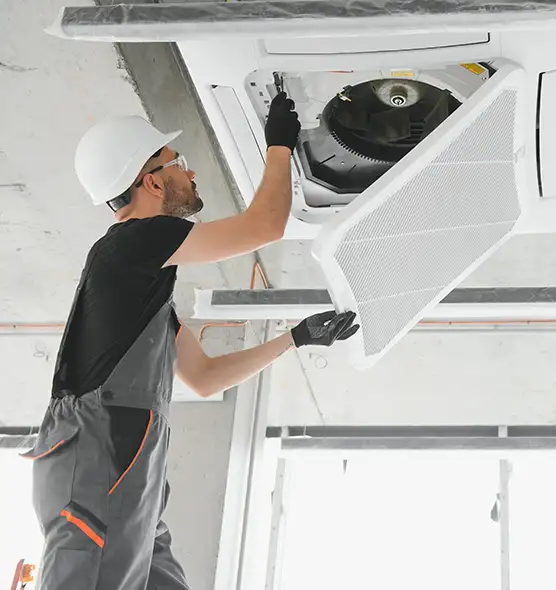 About Air Duct Rodent Removal in Colonial Heights, VA