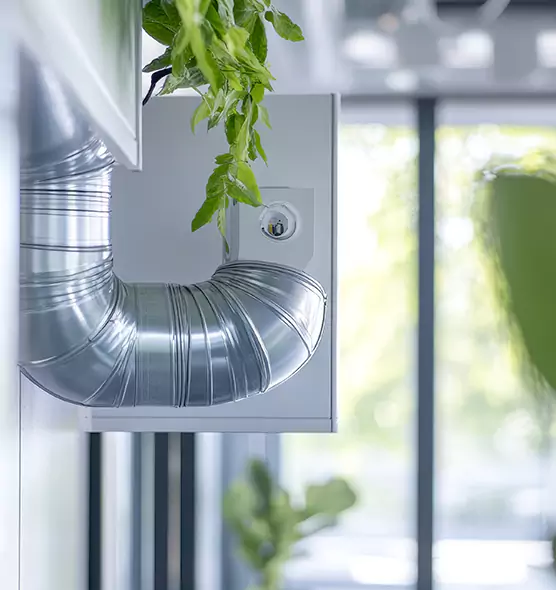 Professional Eco-Safe Dryer Vent Cleaning in Colonial Heights, VA