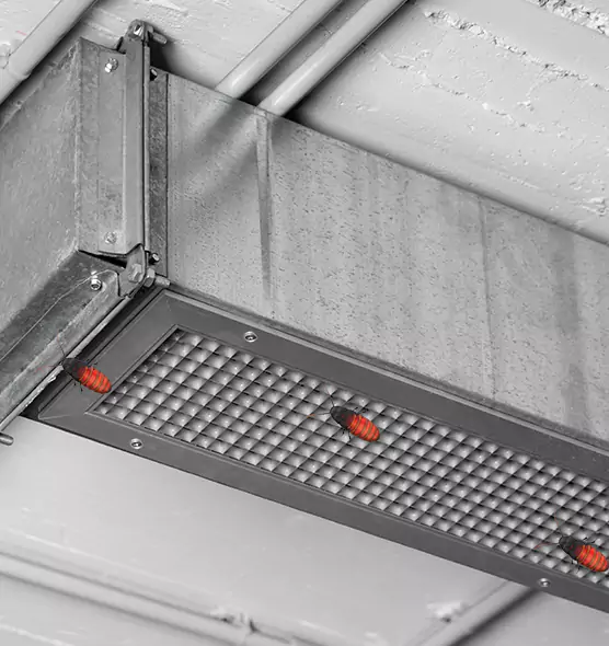 Affordable Insect Removal from Air Ducts in Colonial Heights, VA