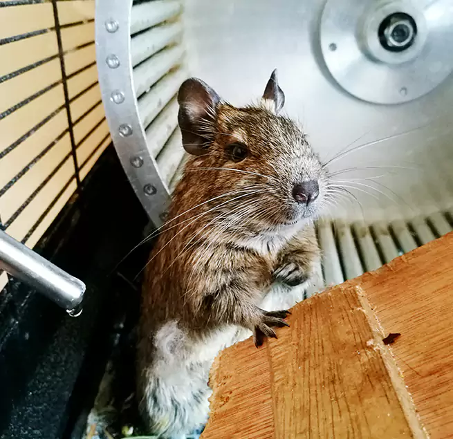 Why Homeowners & Businesses Trust Us Colonial Heights, VA