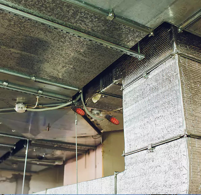 Why Homeowners & Businesses Trust Us Colonial Heights, VA?