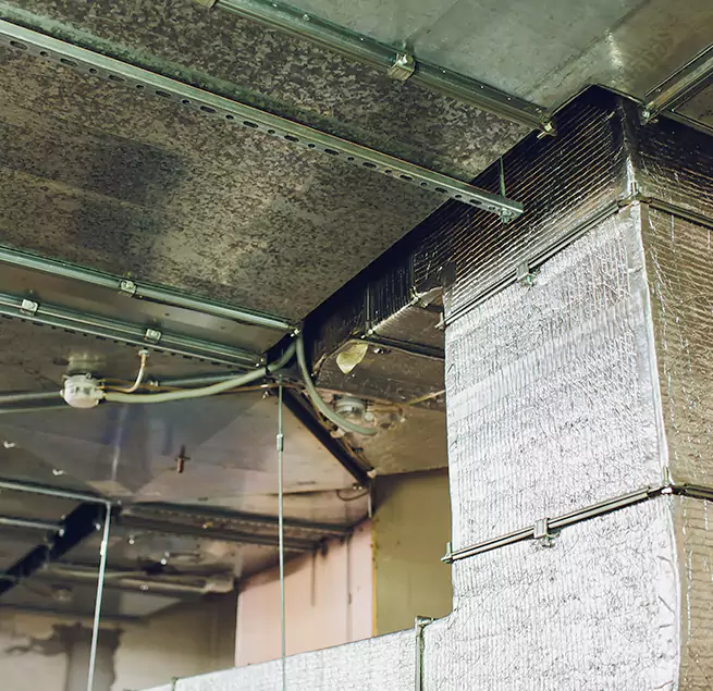 Why Homeowners & Businesses Trust Us in Colonial Heights, VA?