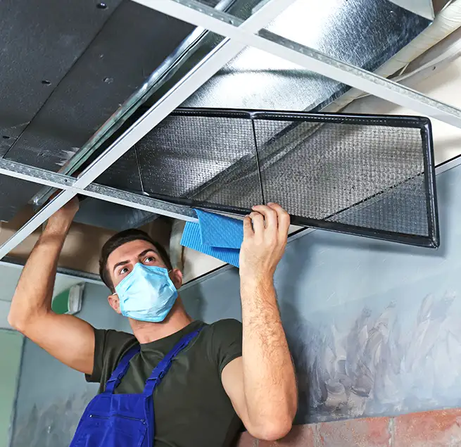 Why Homeowners & Businesses Trust Us in Colonial Heights, VA?